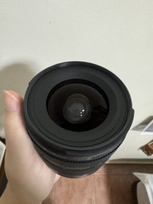 IMG_2241.jpeg
