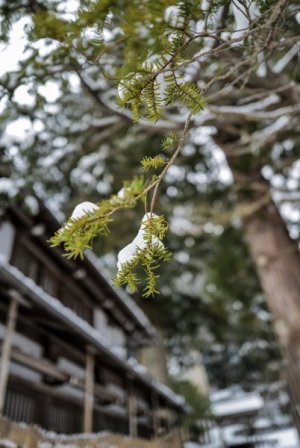 IMG_5960.jpeg