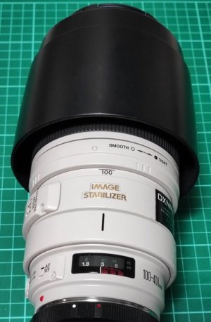 Canon100400b.jpg