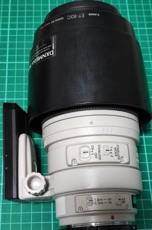 Canon100400.jpg
