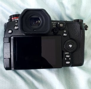 LumixG9-2.jpg