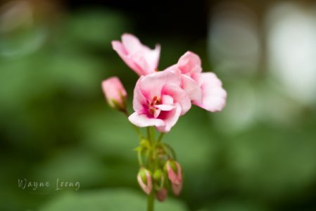 Sample-2.jpg