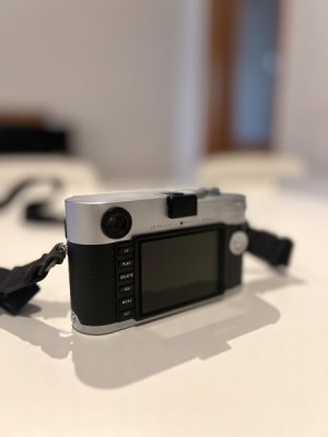 IMG_9190.jpeg
