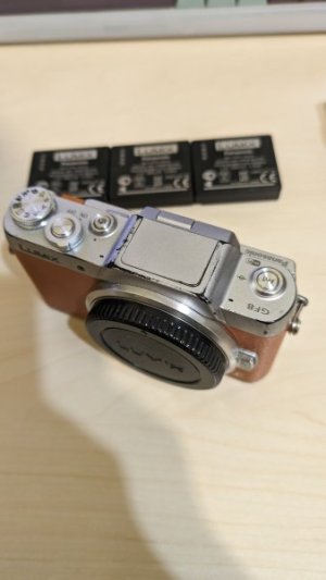 PXL_20240504_133739612.jpg