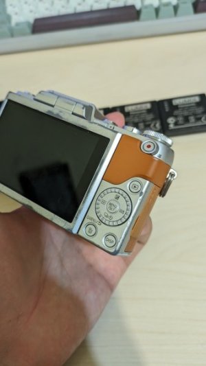 PXL_20240504_133753863.jpg