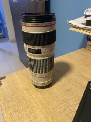 IMG_4455.jpeg