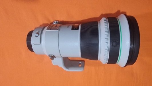 canon_ef_400mm_f4_do_is_ii_usm_1715914422_aec86aed_progressive.jpg