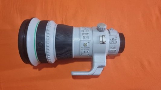 canon_ef_400mm_f4_do_is_ii_usm_1715914422_db550885_progressive.jpg