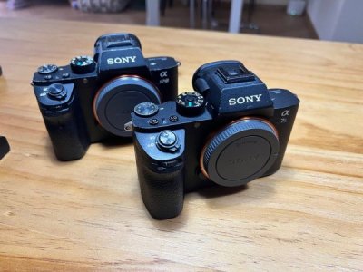 sony_a7sii_1717215454_d5aae190_progressive.jpg