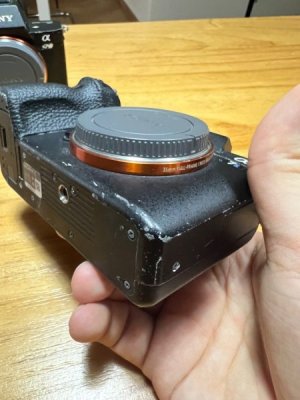 sony_a7sii_1717215454_64158230_progressive.jpg