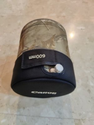 wts_clean_canon_ef_600mm_f4l_i_1708526991_1382d2ba_progressive.jpeg
