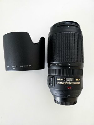 70-300 1.jpg