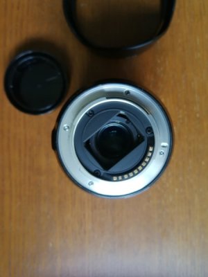 IMG_20240629_162523.jpg