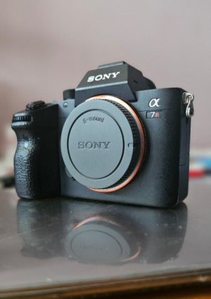 sony_a7riii_a7r3_69k_shutter_c_1719370942_6b475873_progressive.jpg