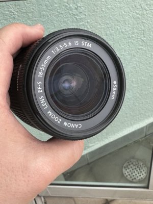IMG_2033.jpeg