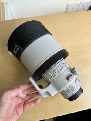 IMG_9911.jpeg