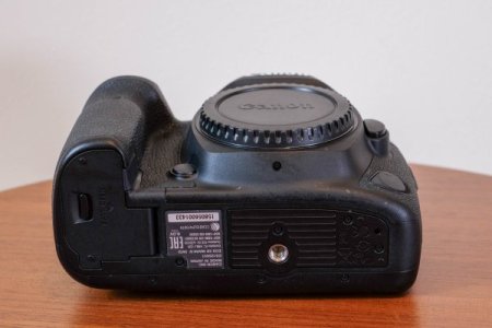 5DMk4 (2).jpg