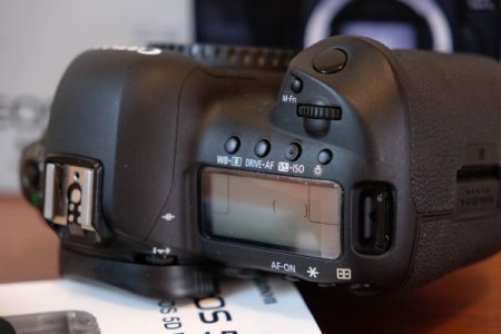 5DMk4 (11).jpg