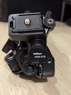 PXL_20240809_153007669.jpg