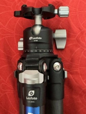 thumbnail_image1 (1).jpg
