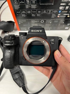 sony_a7iii_a7m3_1725874565_9b3883dd_progressive.jpg