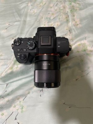 sony_a7iii__fe_35mm_18__fe_85m_1726281438_19cc472c_progressive.jpg