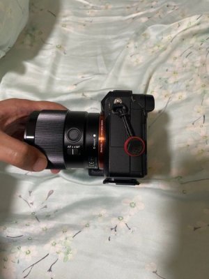 sony_a7iii__fe_35mm_18__fe_85m_1726281438_7022b661_progressive.jpg