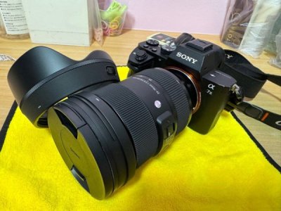 sony_a7mk2__sigma_2470_f28_art_1726221187_9029dec3_progressive.jpg