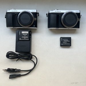 IMG_7162.jpeg