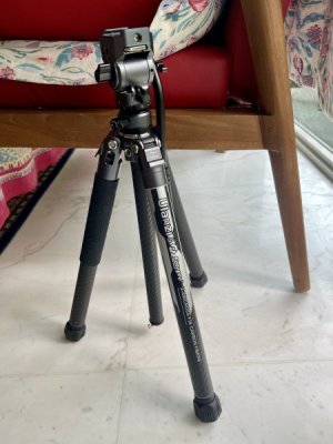 IMG_7996.jpeg
