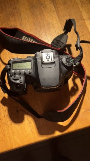 IMG_9511.jpeg