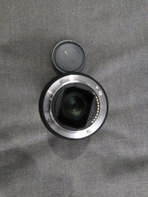 1000020536.jpg