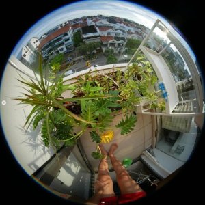 panasonic_lumix_gf9__laowa_4mm_1722156672_1d208419_progressive.jpeg