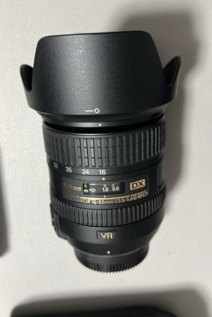 Lens 01.jpg