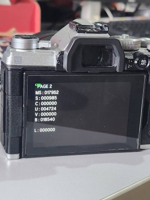 20241130_101020.jpg
