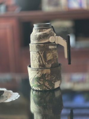 IMG_3267.jpeg