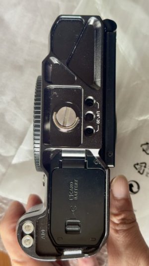 IMG_2470.jpeg