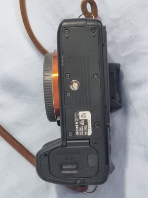 1000029686.jpg