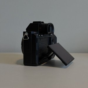 IMG_8821.JPG