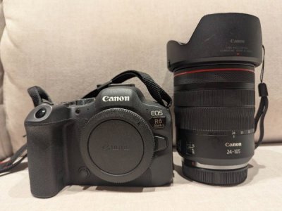 canon_r6_mark_ii__canon_rf_241_1736777472_5cd4d0d3_progressive.jpg