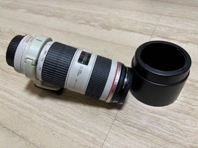 canon_ef_70200_f4_is_usm_1733062853_4e059763_progressive.jpg