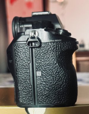 IMG_4082.jpeg