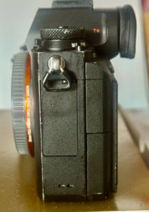 IMG_4087.jpeg