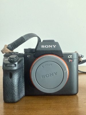 IMG_6256.jpeg
