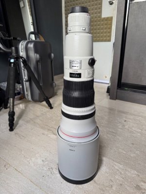canon_ef_600mm_f4l_is_ii_usm_1739512846_56c6d2ba_progressive.jpg