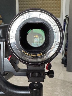 canon_ef_600mm_f4l_is_ii_usm_1739512846_985f2732_progressive.jpg