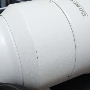 PXL_20250305_131938623.RAW-01.COVER.jpg