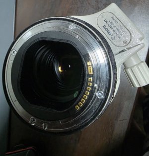 1000017387.jpg