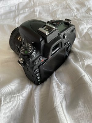 IMG_0006.jpeg