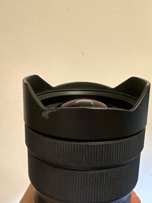 sony_fe_1224mm_f4_g_1740499209_ee3e07d8_progressive.jpg